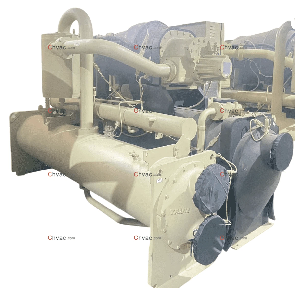 product-1203-1174 product-1203-1174